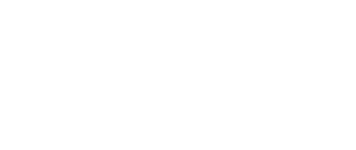 DiWiSH - Digitale Wirtschaft Schleswig-Holstein